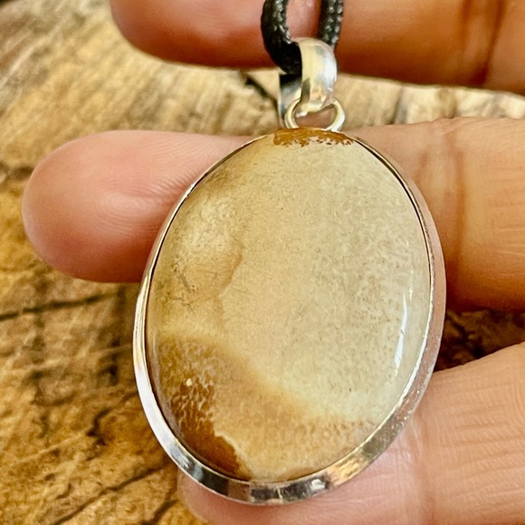 Owyhee Picture Jasper Pendant 2” - Picture 8 of 9
